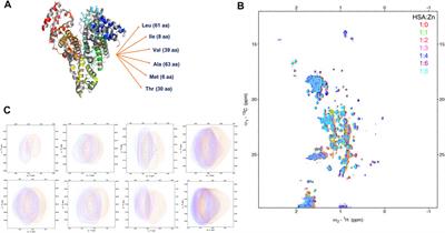 Lipoic Acid Restores Binding of Zinc Ions to Human Serum Albumin